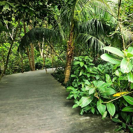 Rayshiva Homestay 乌布 外观 照片