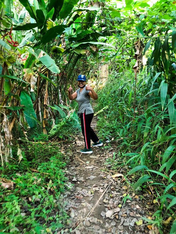 Rayshiva Homestay 乌布 外观 照片