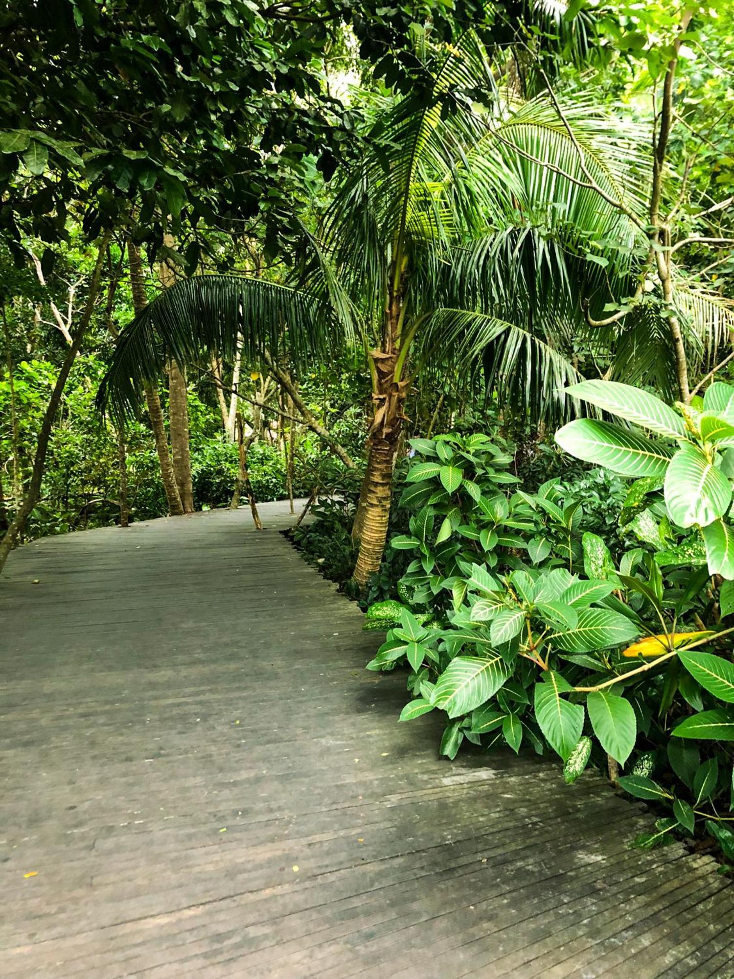 Rayshiva Homestay 乌布 外观 照片